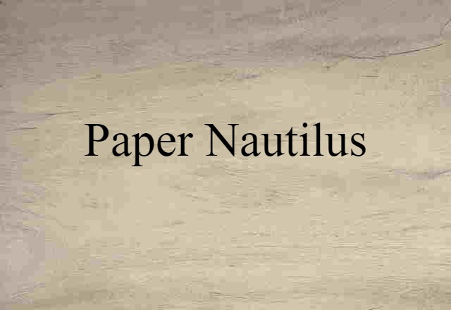 paper nautilus