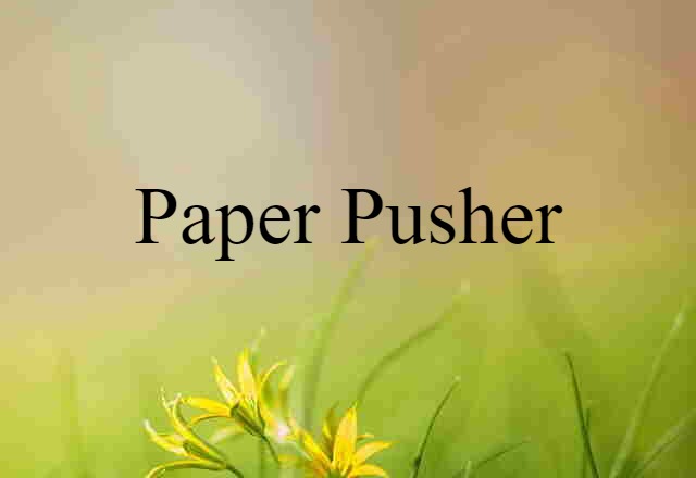 Paper-pusher (noun) Definition, Meaning & Examples