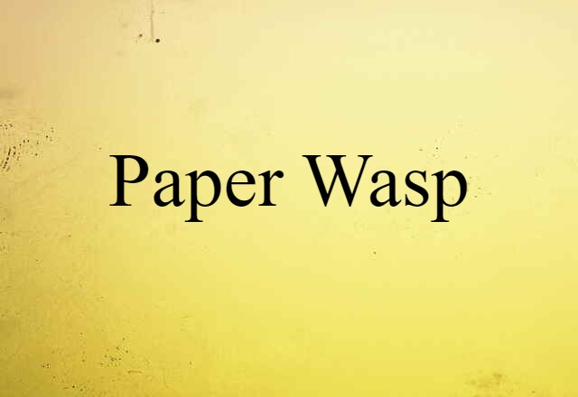 paper wasp