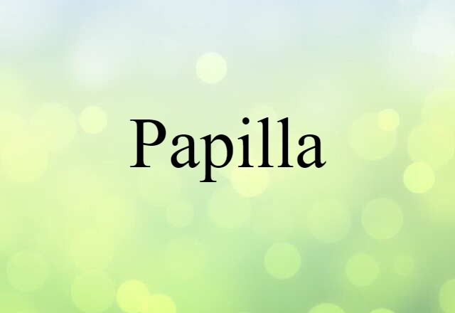 papilla