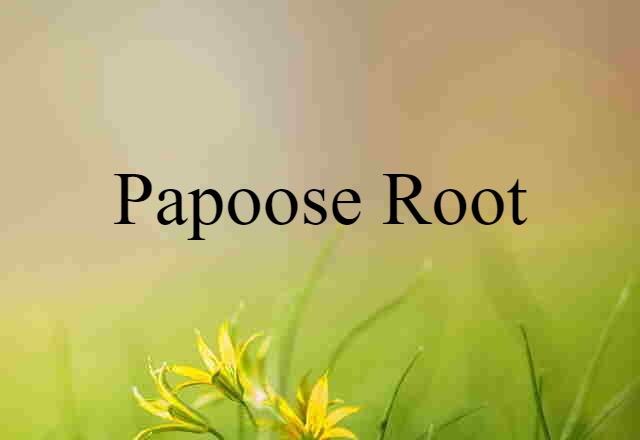 Papoose-root (noun) Definition, Meaning & Examples