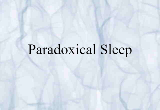 paradoxical sleep