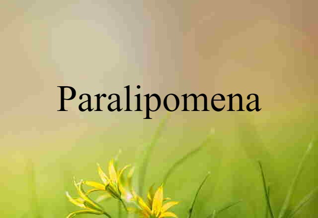 Paralipomena (noun) Definition, Meaning & Examples