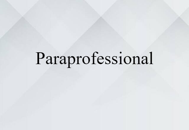 Paraprofessional (noun) Definition, Meaning & Examples