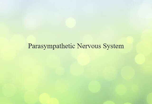 parasympathetic nervous system