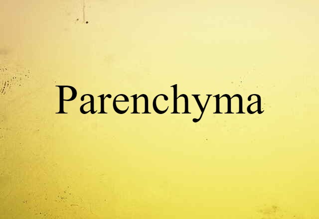 parenchyma