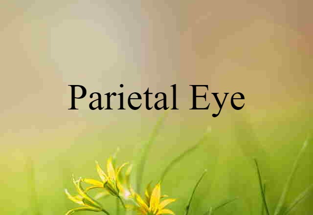 parietal eye