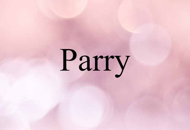 Parry (noun) Definition, Meaning & Examples