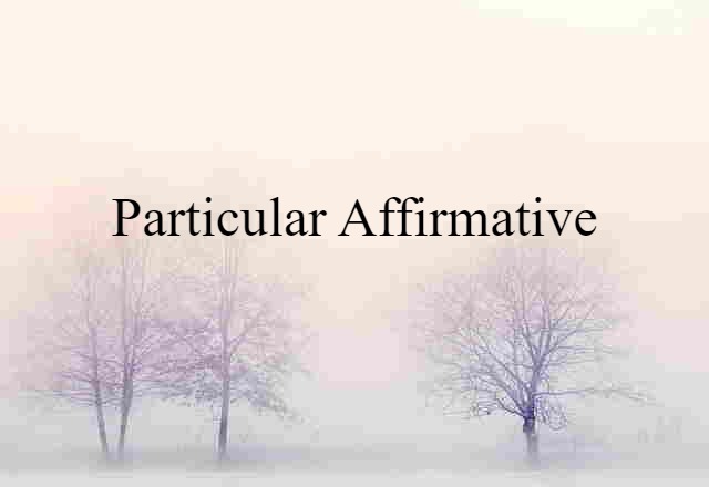 Particular Affirmative (noun) Definition, Meaning & Examples