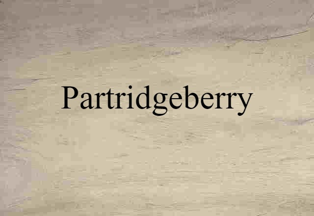 Partridgeberry (noun) Definition, Meaning & Examples