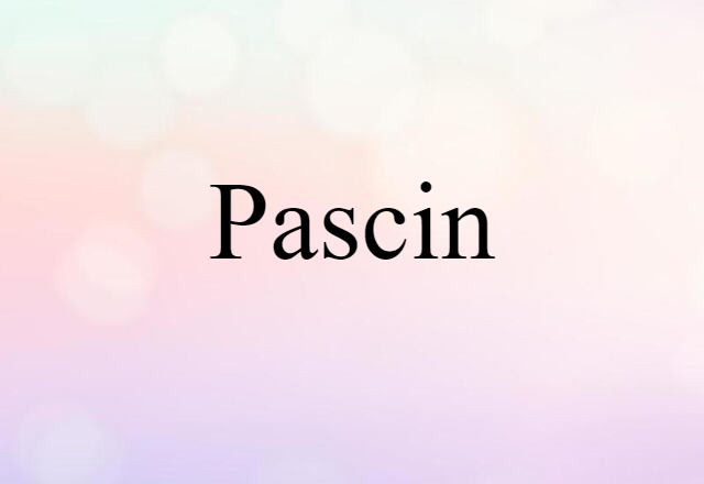 Pascin (noun) Definition, Meaning & Examples