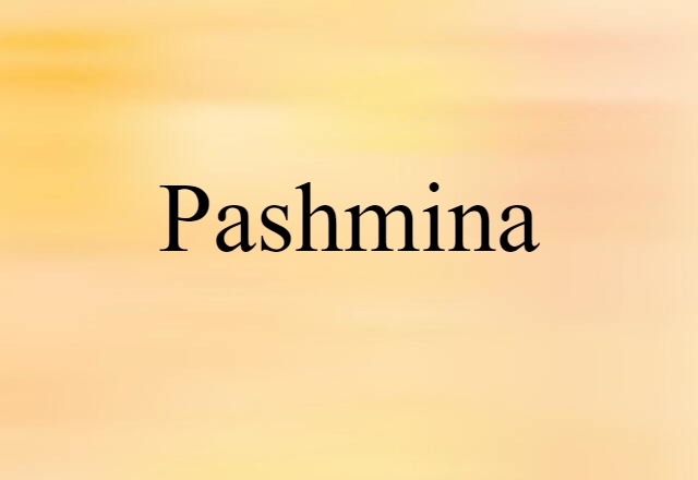 Pashmina (noun) Definition, Meaning & Examples