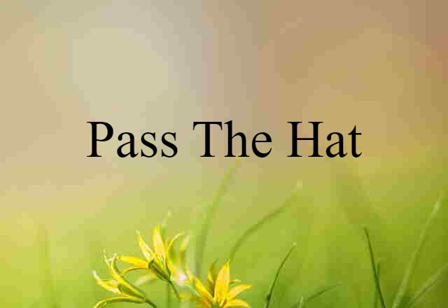 Pass The Hat (noun) Definition, Meaning & Examples