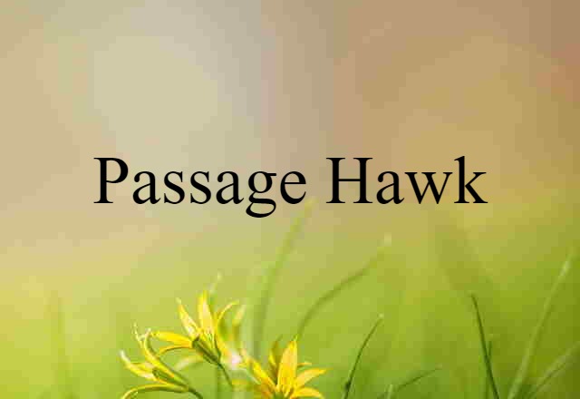 passage hawk