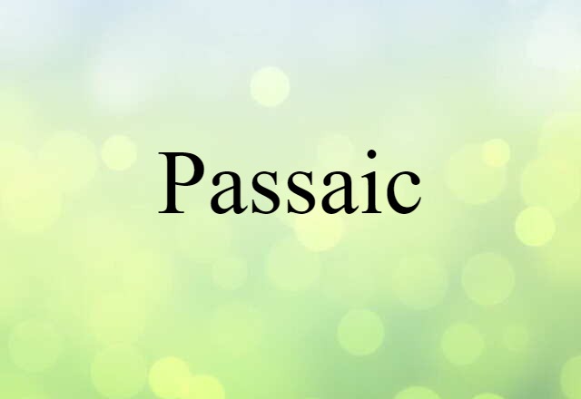 Passaic (noun) Definition, Meaning & Examples