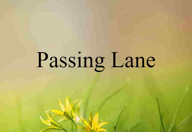 Passing Lane (noun) Definition, Meaning & Examples