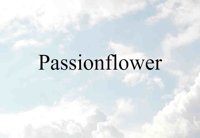 Passionflower (noun) Definition, Meaning & Examples