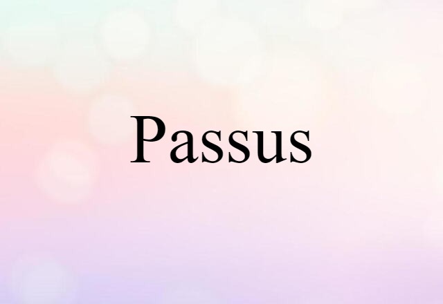 Passus (noun) Definition, Meaning & Examples