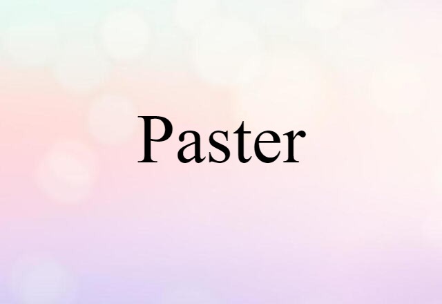 Paster (noun) Definition, Meaning & Examples