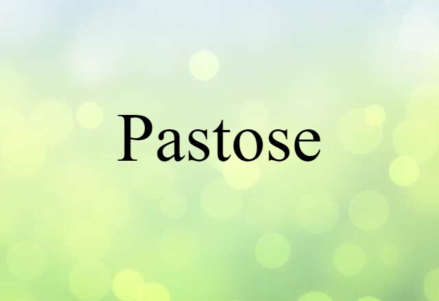 Pastose (noun) Definition, Meaning & Examples