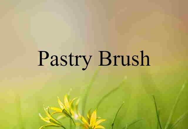 Pastry Brush (noun) Definition, Meaning & Examples