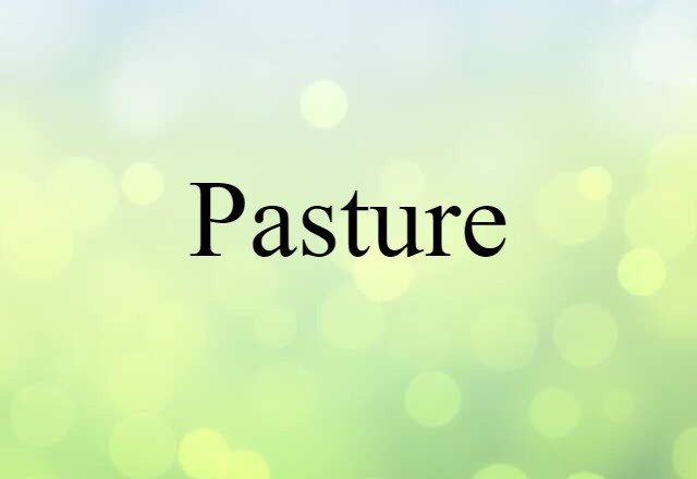 Pasture (noun) Definition, Meaning & Examples