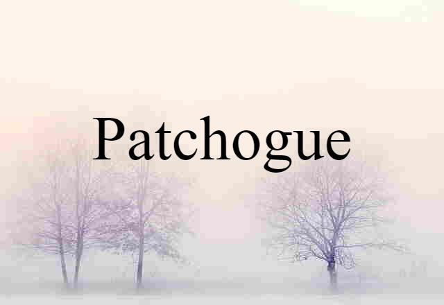 Patchogue (noun) Definition, Meaning & Examples