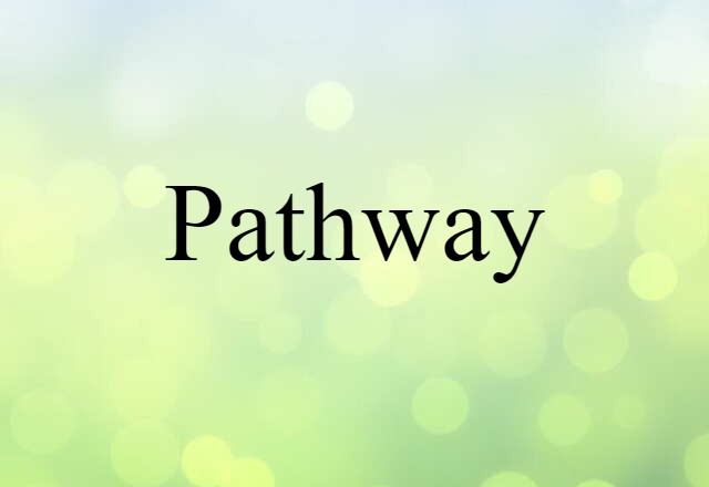 Pathway (noun) Definition, Meaning & Examples