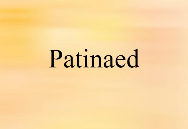 Patinaed (noun) Definition, Meaning & Examples