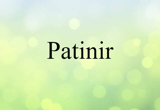 Patinir (noun) Definition, Meaning & Examples