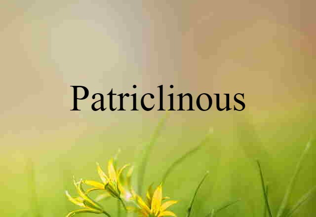 Patriclinous (noun) Definition, Meaning & Examples