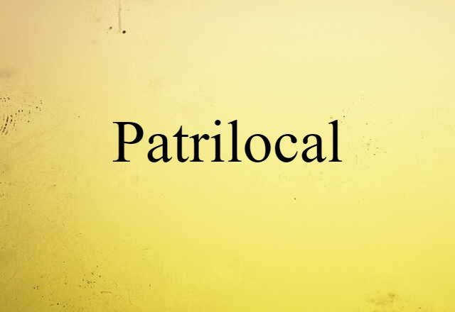 Patrilocal (noun) Definition, Meaning & Examples