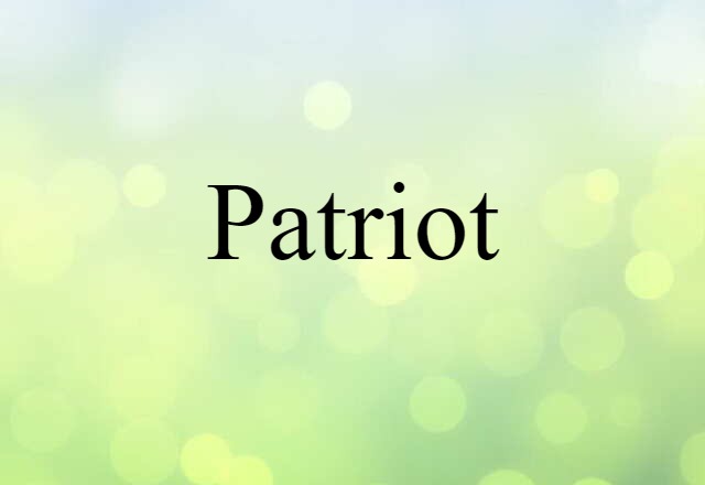 Patriot (noun) Definition, Meaning & Examples