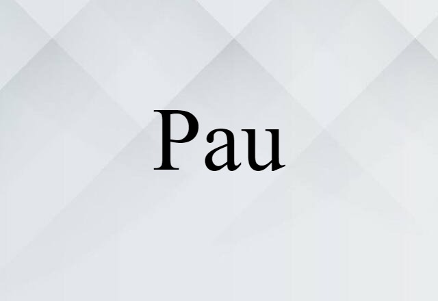 Pau (noun) Definition, Meaning & Examples