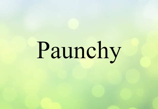 Paunchy (noun) Definition, Meaning & Examples