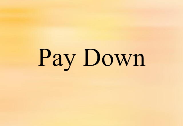 Pay Down (noun) Definition, Meaning & Examples