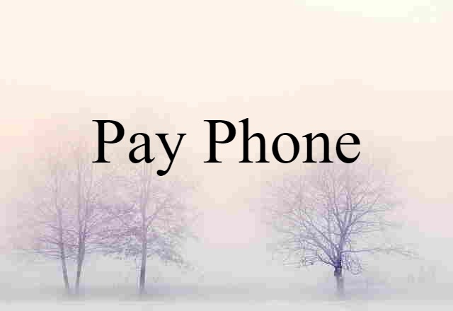 Pay Phone (noun) Definition, Meaning & Examples