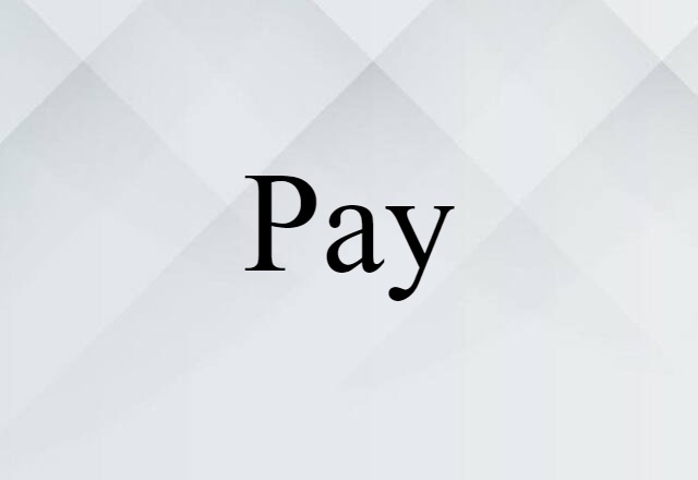 Pay (noun) Definition, Meaning & Examples