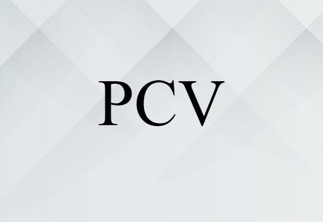 PCV (noun) Definition, Meaning & Examples