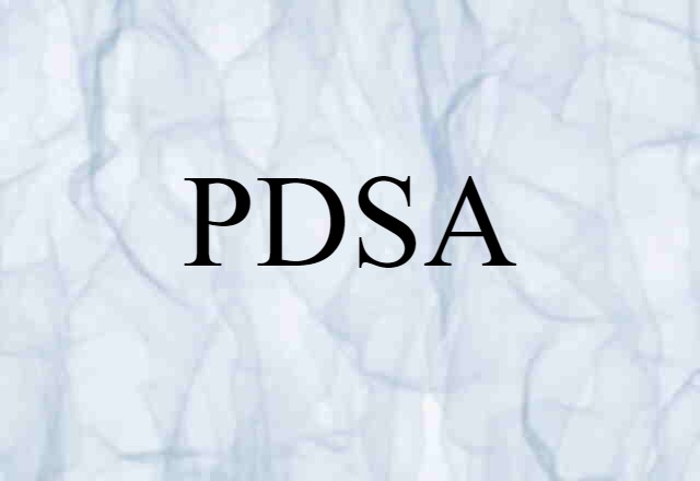 PDSA (noun) Definition, Meaning & Examples