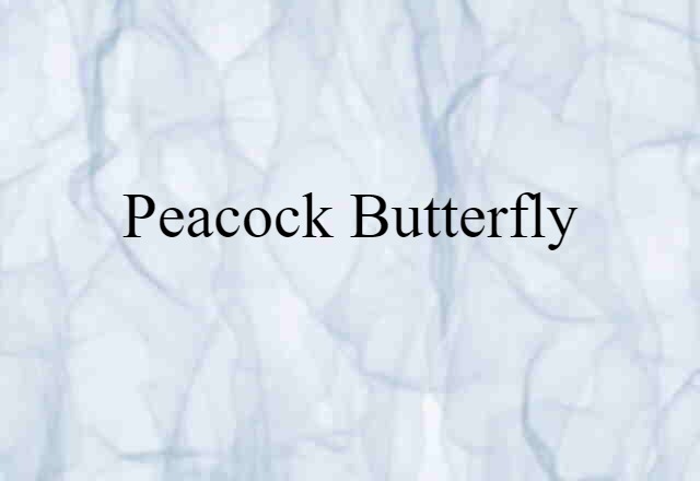 peacock butterfly