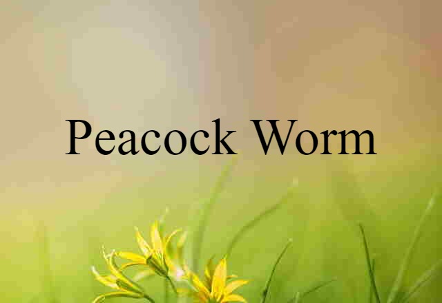 Peacock Worm (noun) Definition, Meaning & Examples