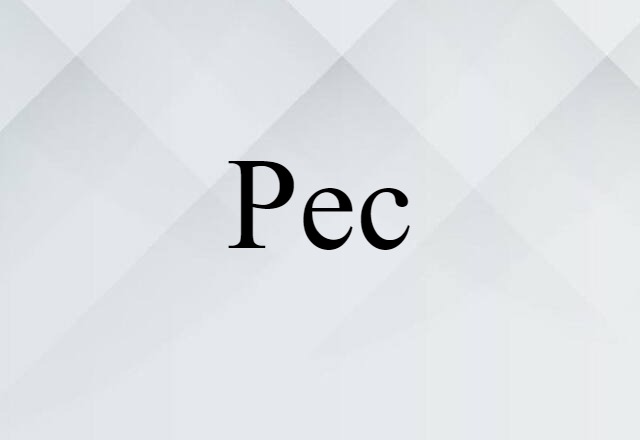 Pec (noun) Definition, Meaning & Examples