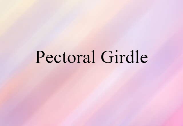 pectoral girdle