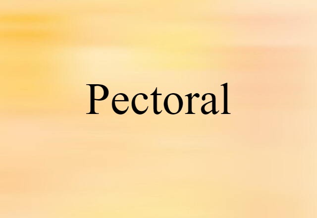 Pectoral (noun) Definition, Meaning & Examples