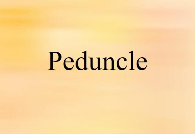 peduncle