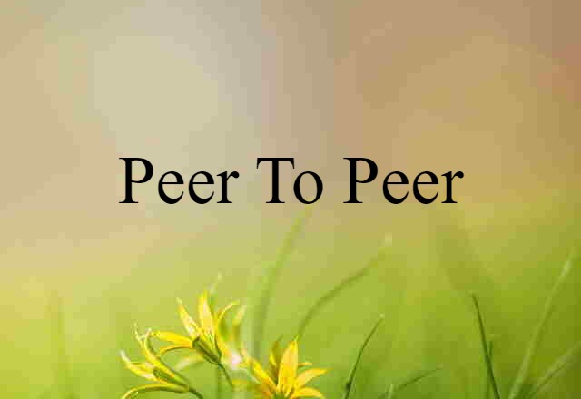 Peer-to-peer (noun) Definition, Meaning & Examples