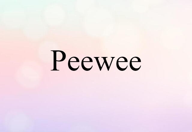 Peewee (noun) Definition, Meaning & Examples