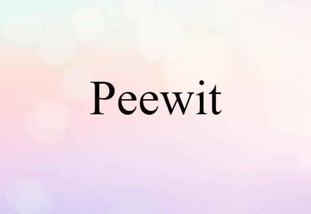 peewit