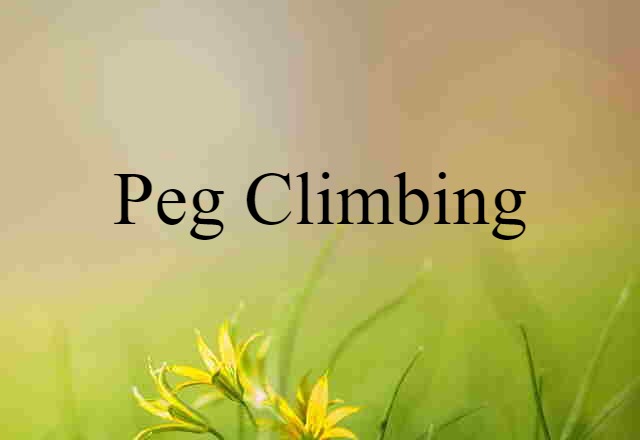 peg climbing